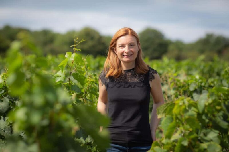 Vitteaut-Alberti: discovery tasting of 4 Crémants de Bourgogne - Key Points