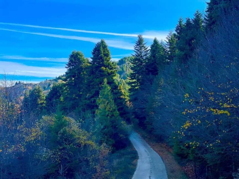 Vjosa Valley Rafting & Hiking Tour  3 Days All Inclusive - The Day-by-Day Breakdown