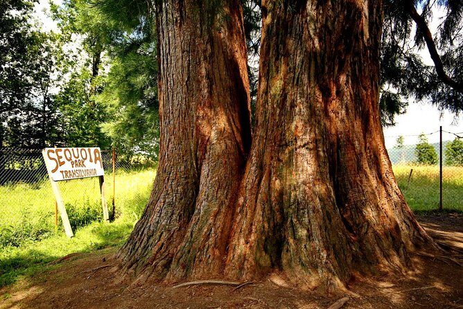 Vladeasa Peak and Bride's Waterfall Day Hike - A Deep Dive into the Experience