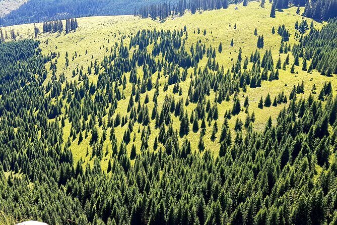 Vladeasa Peak and Bride's Waterfall Day Hike - FAQ