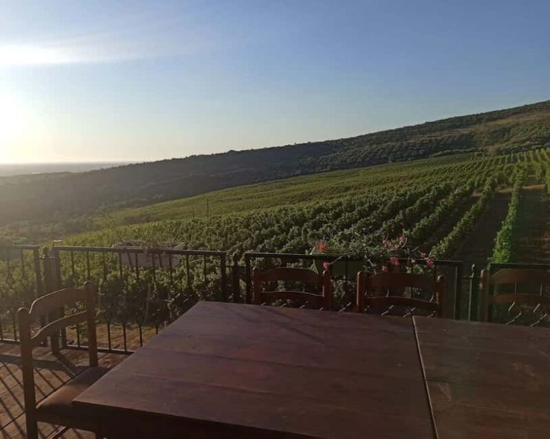 Vlora: Zvernec, Ardenica, Local Winery & Food Experience - FAQ