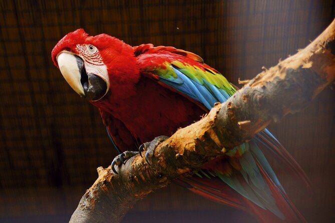 Vltava River Boat Trip and Zoo Entrance Ticket in Prague - FAQ