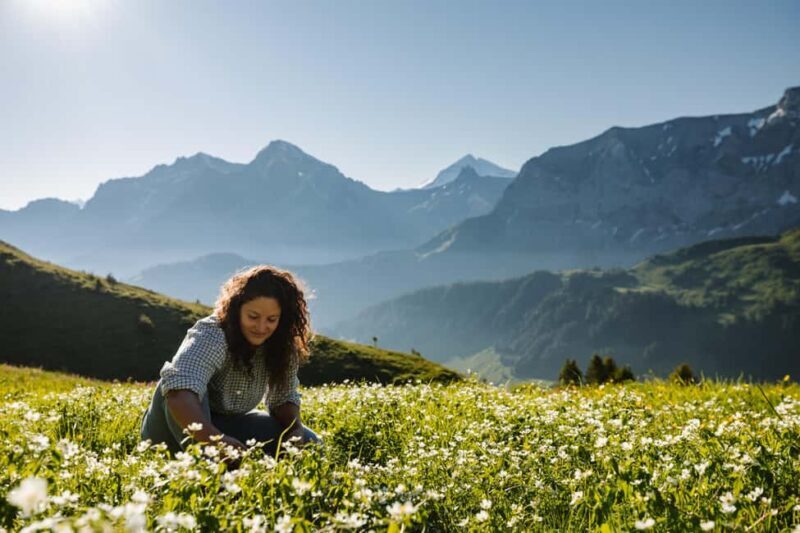 Vogellisi Mountain: Easy Panoramic Flower Trail Hike - Key Points