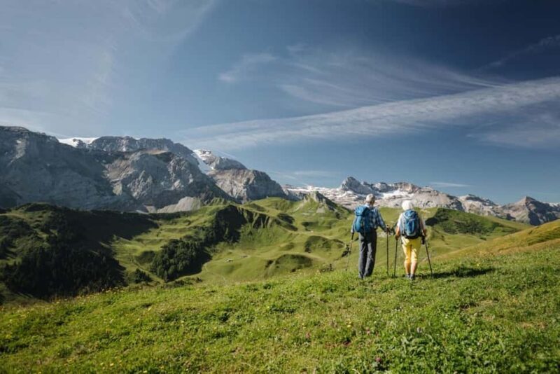 Vogellisi Mountain: Easy Panoramic Flower Trail Hike - What to Expect from the Flower Trail Hike