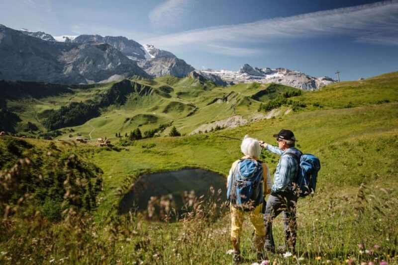 Vogellisi Mountain: Easy Panoramic Flower Trail Hike - Price and Value