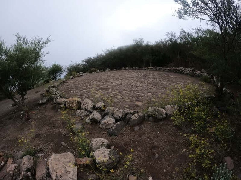 Volcanes, Viñedos y Laurisilva Santiago del Teide - Key Points