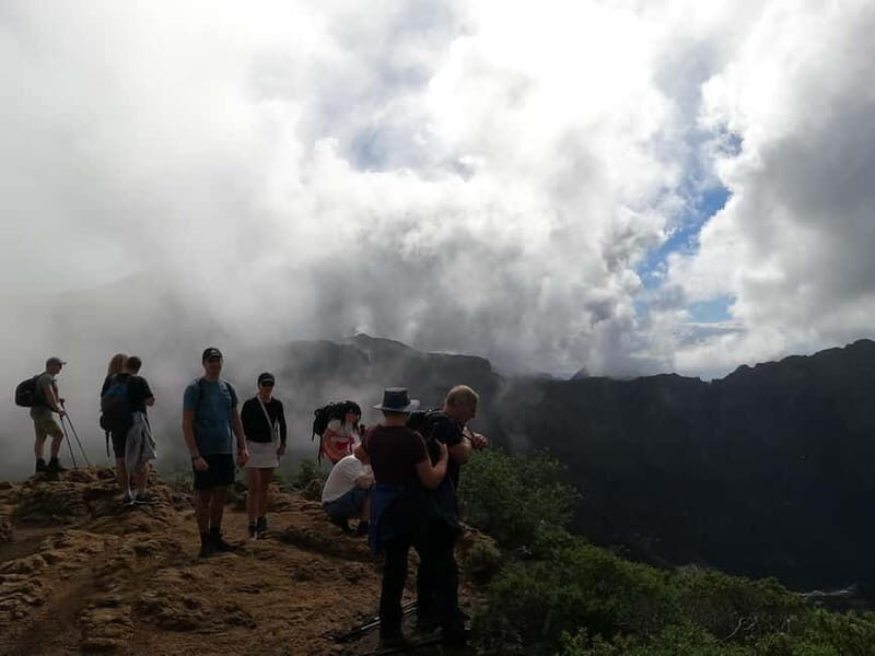 Volcanes, Viñedos y Laurisilva Santiago del Teide - Who Is This Tour Best For?