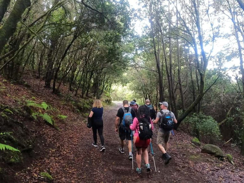 Volcanes, Viñedos y Laurisilva Santiago del Teide - Frequently Asked Questions