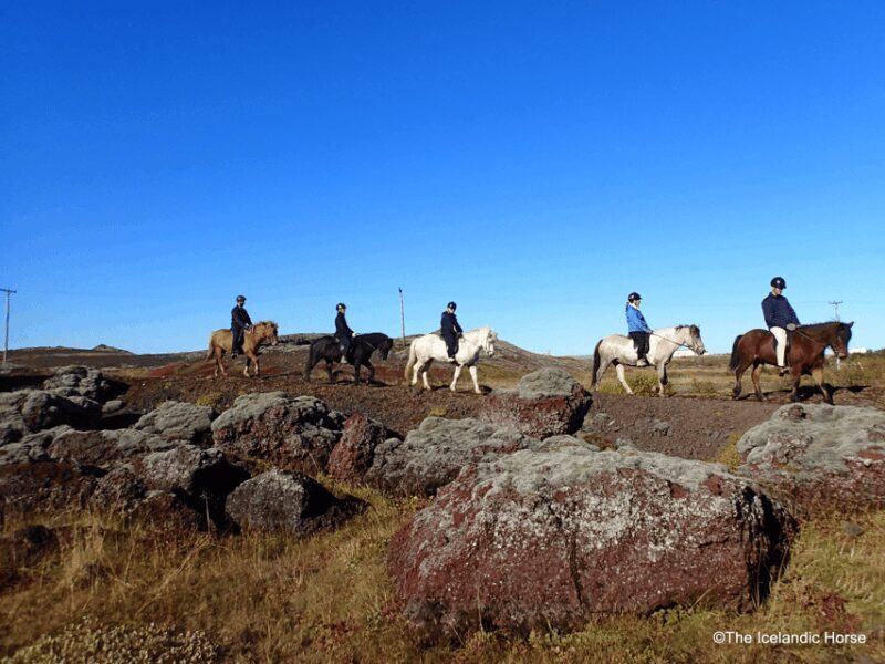 Volcanic Landscape Iceland Horse Riding Tours - Key Points