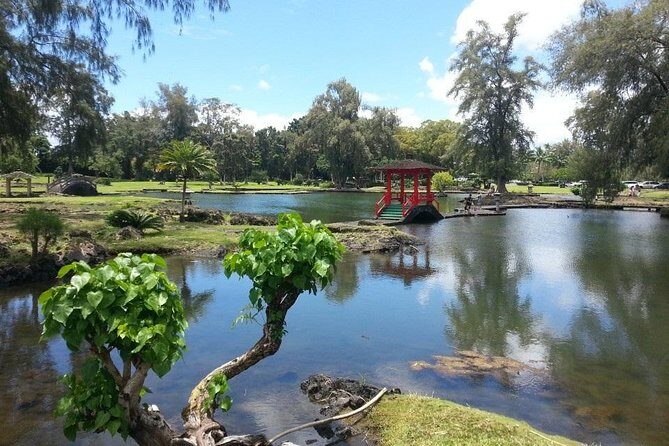 Volcano Adventure Tour & Waterfall - Shore Excursion from Hilo Harbor - Who Will Love This Tour?