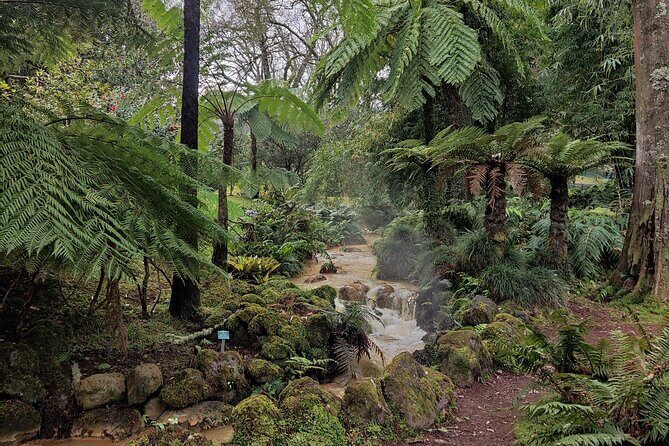 Volcano of Fogo and Furnas Private Tour - Final Thoughts