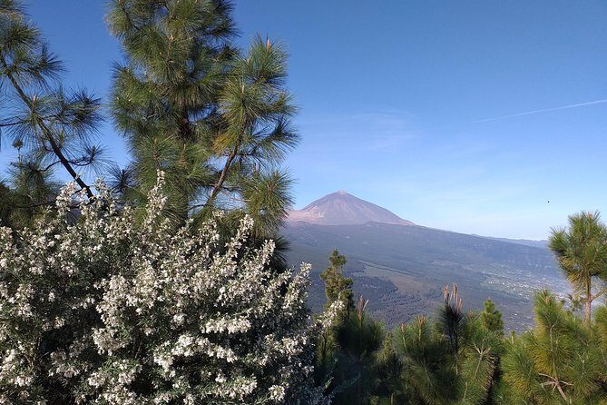 Volcano Teide National Park And North Of The Island VIP TOUR - The Real-Life Experiences
