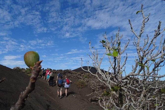 Volcano Trekking Tour (Timanfaya eruptions) - An Honest Look at the Volcano Trekking Tour