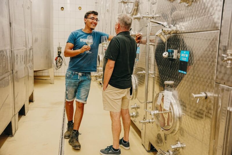 Volkach/Fahr: Wine Spirit Rebellion wine hike - The Wines and the Value