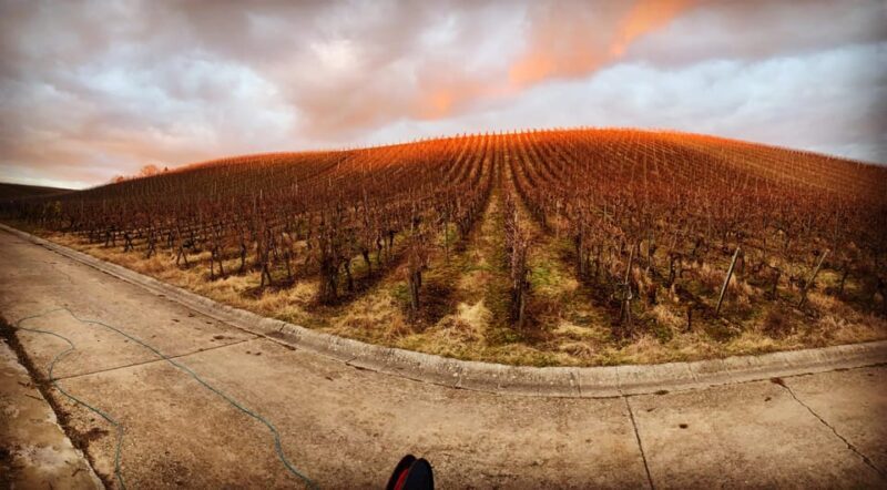 Volkach/Fahr: Wine Spirit Rebellion wine hike - The Experience for Different Travelers