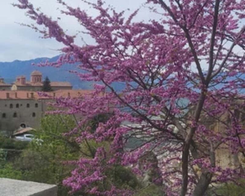 Volos: Meteora Monasteries, Trikala & Mushroom Museum Tour - Key Points