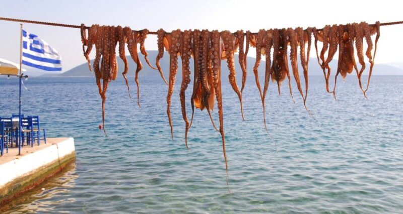 Volos: Pagasetic Gulf Full-Day Sailboat Experience - What the Day Looks Like: A Step-by-Step Breakdown