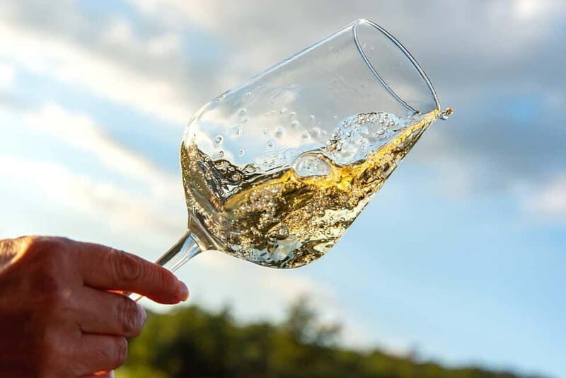 Volterra: Winery Guided Tour and Experience with Tasting - Key Points