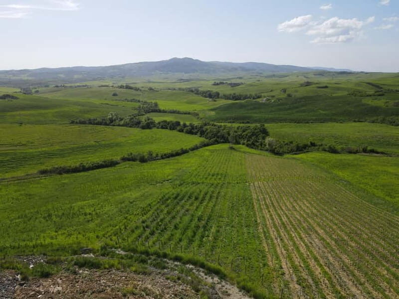 Volterra: Winery Guided Tour and Experience with Tasting - An In-Depth Look at the Tour Experience