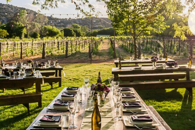 Vortex to Vineyards by ABC wildlife host Rachel Reenstra - An Easy-Going Introduction to Sedona’s Best