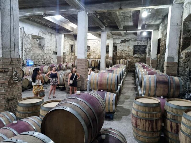 Voskevaz Winery Cellar Tour & Wine Tasting Experience - Who Would Love This Experience?