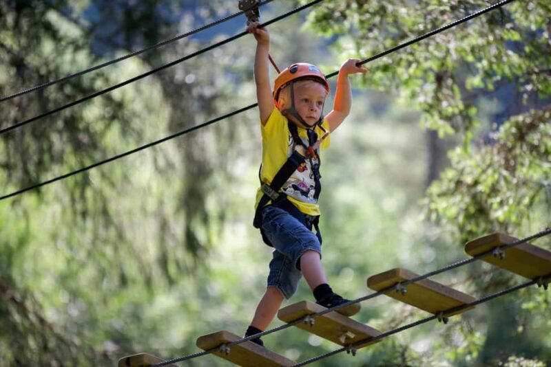 Voss High Rope Course: Mini & Micro Course - What to Expect at the Voss High Rope Course