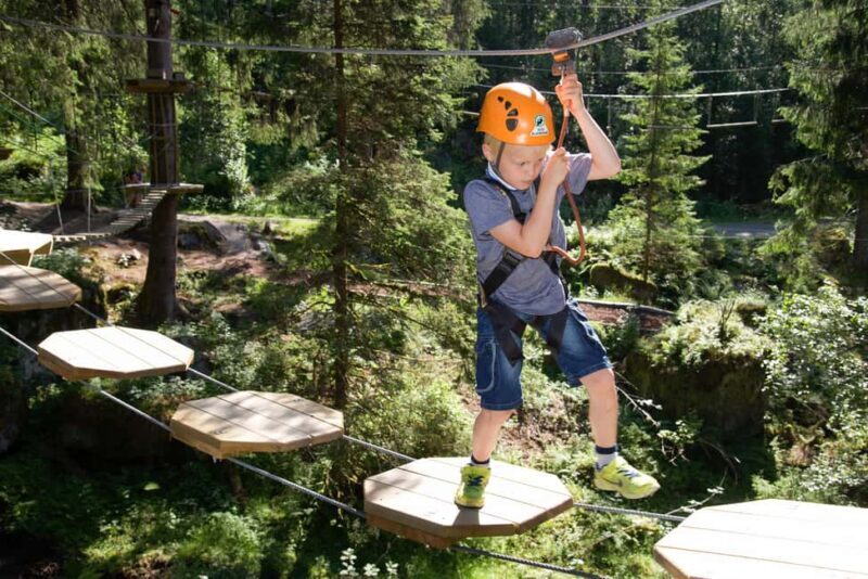 Voss High Rope Course: Mini & Micro Course - Cost-Benefit Analysis: Is It Worth It?