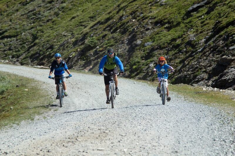 Voss - Mountain Bike Bømoem Forest - Pricing and Value