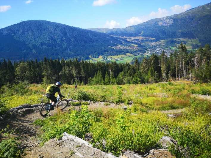 Voss - Mountain Bike Bømoem Forest - Who Should Book This Tour?