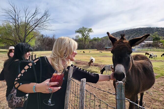 Voted Best in Sedona-Cheapest Private Wine Tour in town! - A Deep Dive into the Experience