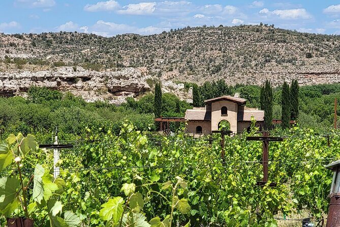 Voted Best in Sedona-Private Wine Tour of Vortex, Wine & Shopping - Final Thoughts
