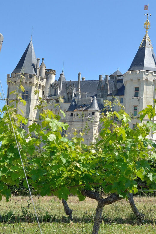 Vouvray wine half-day tour from Tours - FAQs