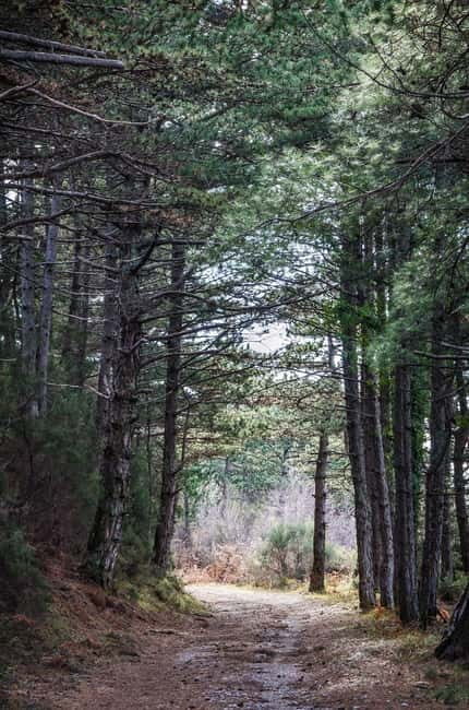 Vrmac Hiking Private Tour - FAQ