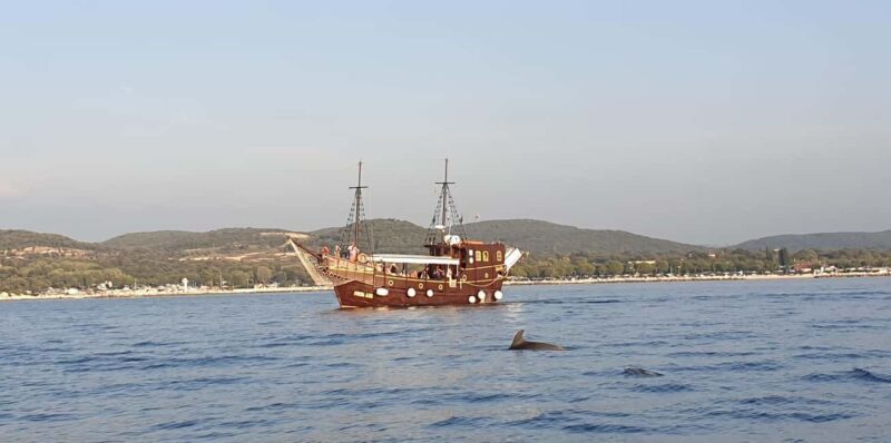 Vrsar: Dolphin Watching Boat Ride - The Practical Details