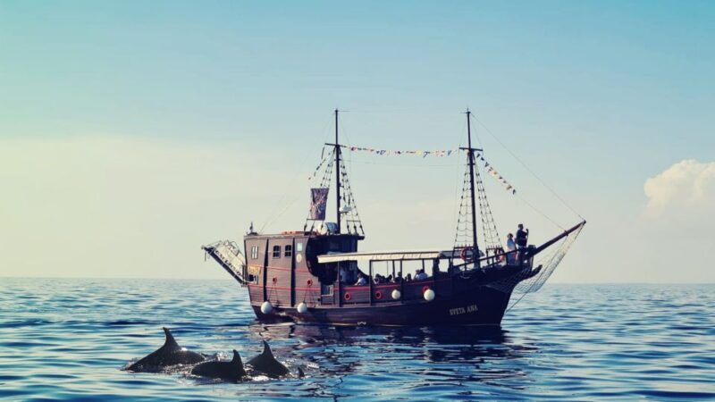 Vrsar: Dolphin Watching Boat Ride - Who Should Consider This Tour?