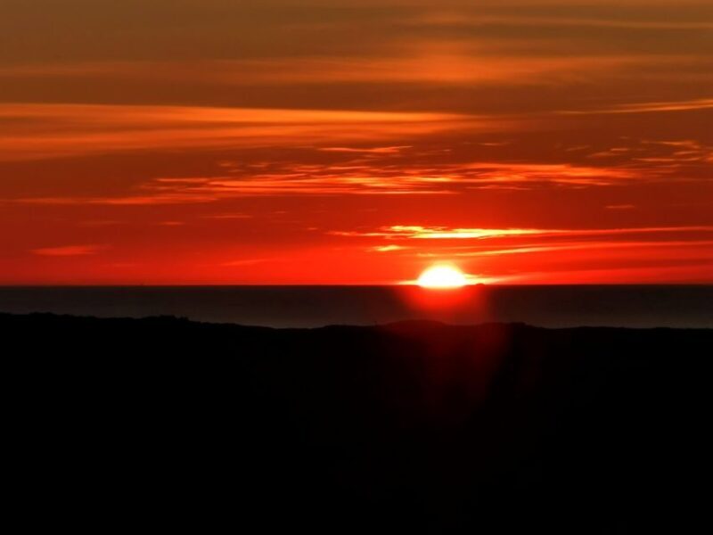 Vrsar: Dolphin Watching Boat Tour including Drinks - Practical Details & Considerations