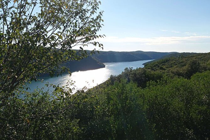 Vrsar, Lim Fjord and Rovinj Day Tour by Boat with Drinks - An Overview of the Experience