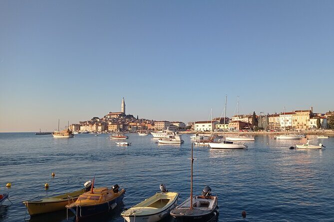 Vrsar, Lim Fjord and Rovinj Day Tour by Boat with Drinks - What Travelers Are Saying