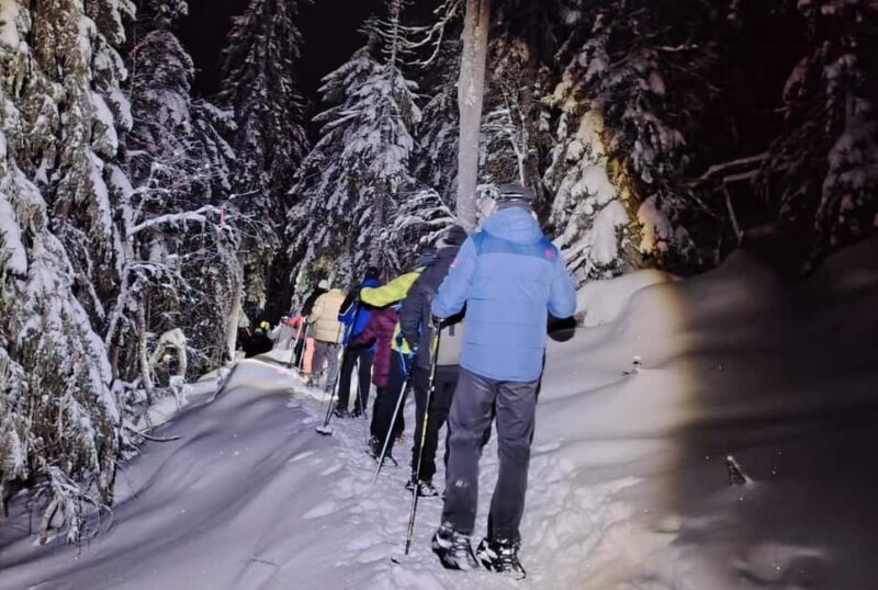 Vuokatti: Northern Lights Snowshoeing Adventure - Key Points