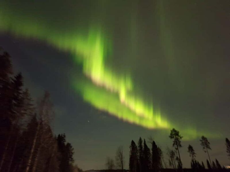 Vuokatti: Northern Lights Snowshoeing Adventure - What to Expect on the Tour
