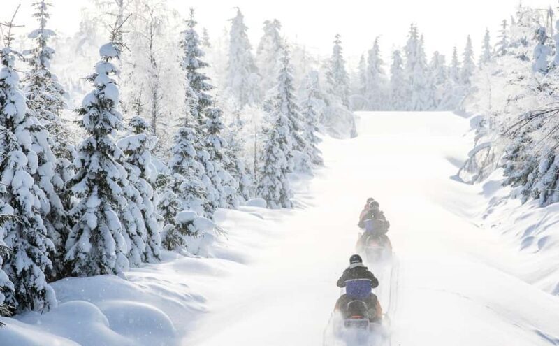 Vuokatti: Snowmobile Safari with Snacks and Hot Drinks - What to Expect from Your Snowmobile Adventure in Vuokatti