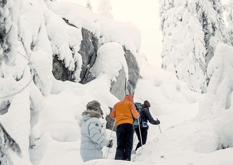 Vuokatti: Snowshoeing Adventure in the Forest - The Experience: Why It’s Worth It