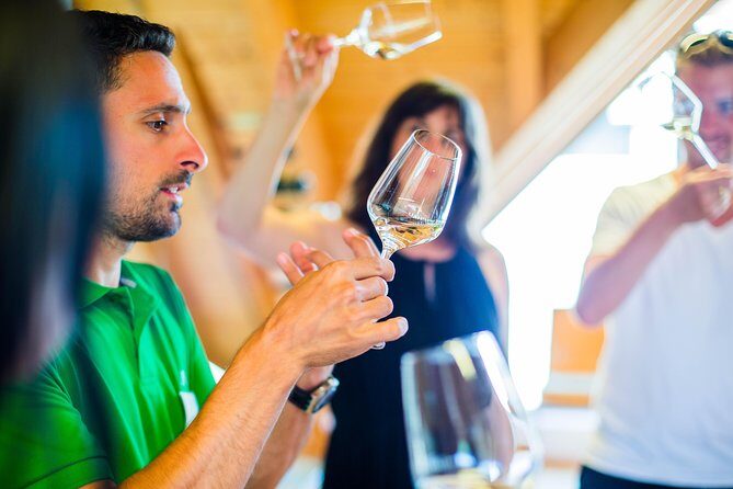 Wachau Valley Private Tour With Melk Abbey Visit and Wine Tastings from Vienna - Tasting Local Delights: Chocolates, Schnapps, and More