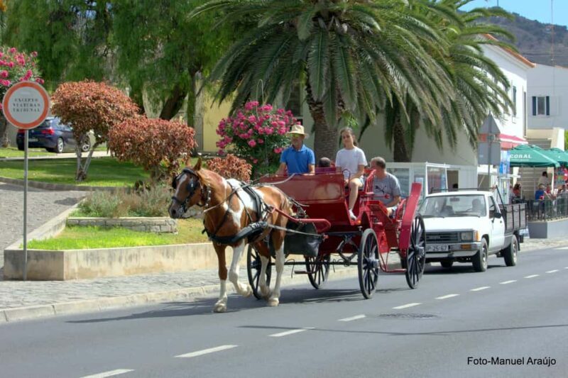 Wagon Ride Through Porto Santo - What to Expect from the Wagon Ride