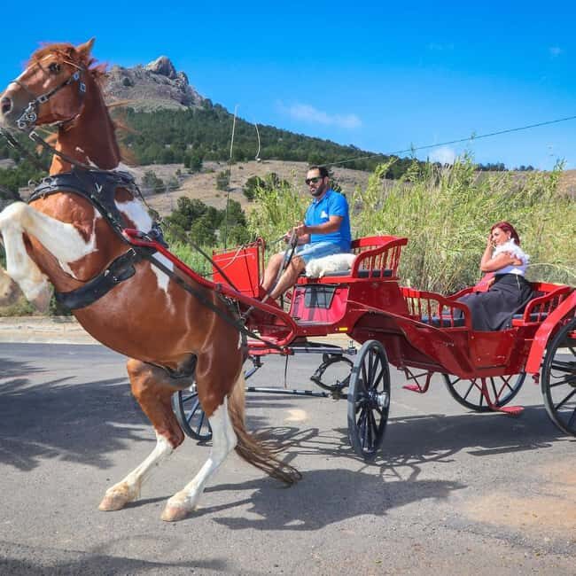 Wagon Ride Through Porto Santo - Who Should Consider This Experience?