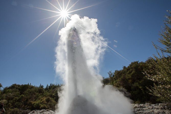 Wai-O-Tapu Thermal Wonderland, Rotorua, New Zealand - Who Is This Tour Best For?