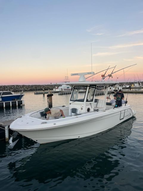 Waianae, Oahu: Swim with Dolphins (Semi-Private Boat Tour) - Pricing and Value