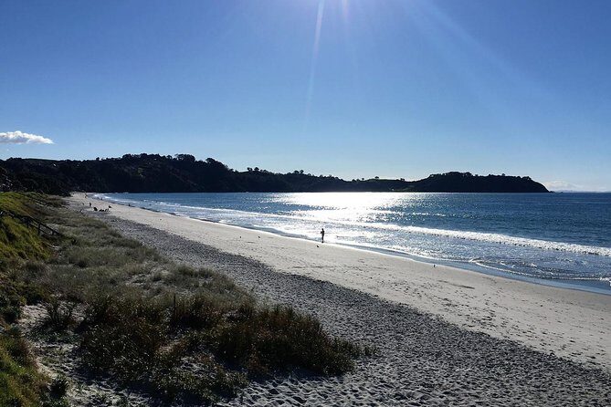 Waiheke Island Bush & Beach Walk - Key Points