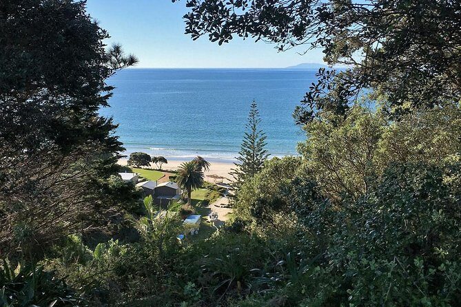 Waiheke Island Bush & Beach Walk - Final Thoughts