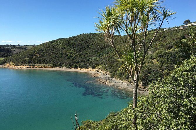 Waiheke Island Double Headland Coastal Walk - FAQs